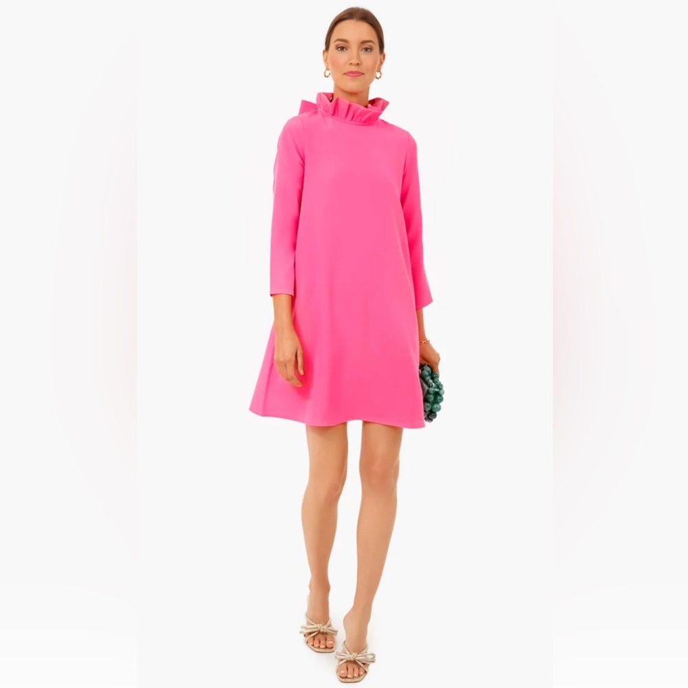 Tuckernuck pink dress Large